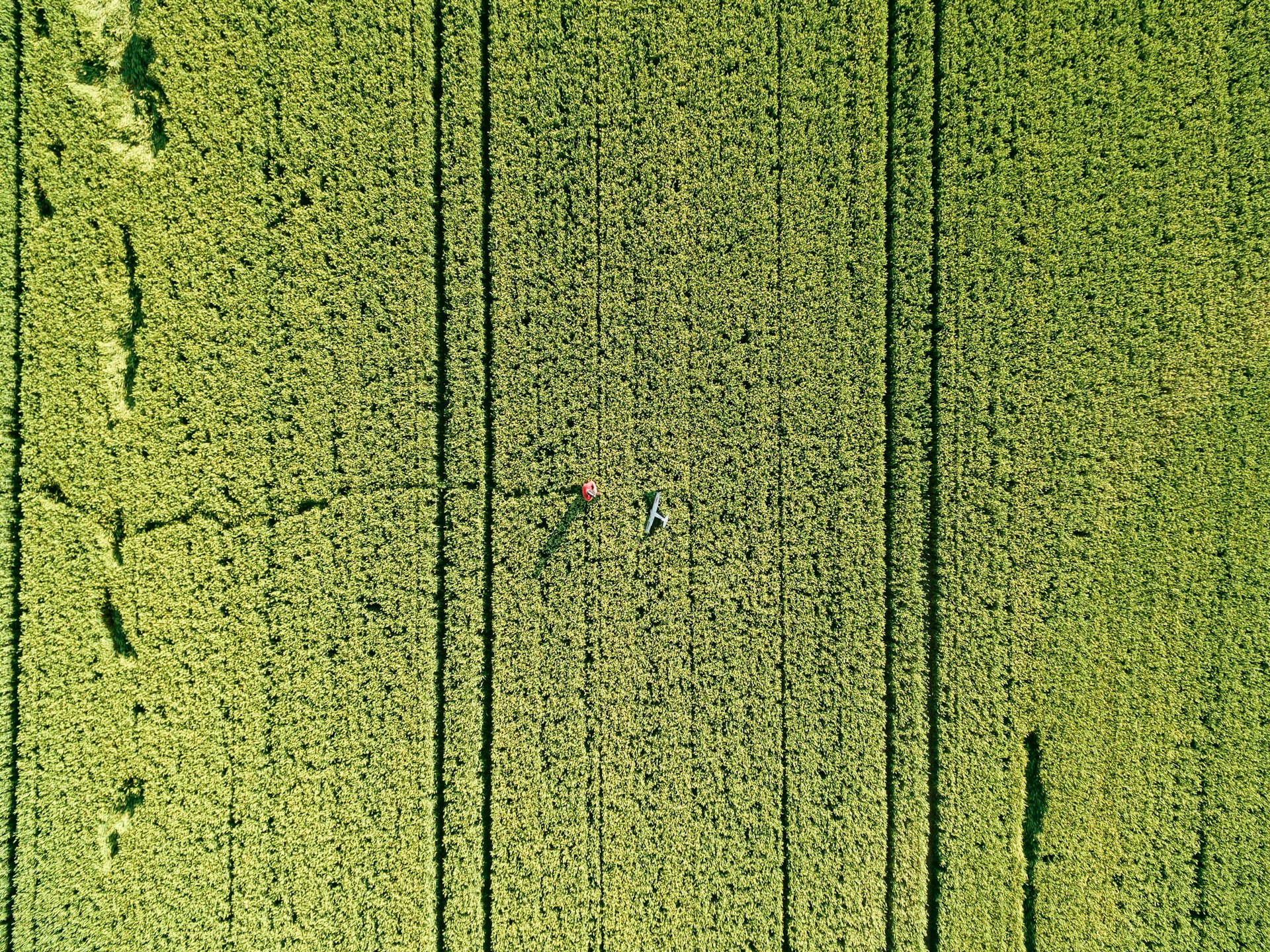 Luftaufnahme eines weitläufigen landwirtschaftlichen Hofes mit Feldern im Münsterland